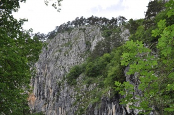 Skocjanske_jame049.JPG