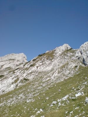img_1348389194_631.jpg