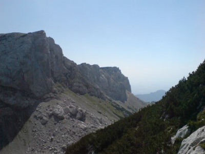 img_1348390043_551.jpg
