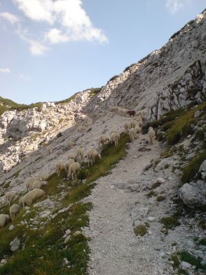 img_1348390176_450.jpg