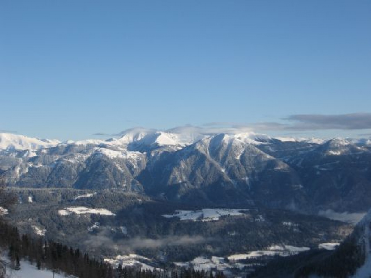 img_1264747384_778.jpg