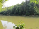 img_1308476091_986.jpg