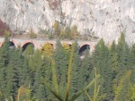 img_1265373754_1.jpg