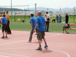 img_1265383512_403.jpg