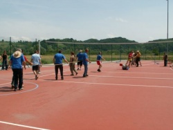 img_1265383528_505.jpg