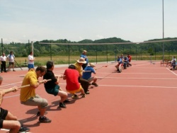 img_1265383529_446.jpg