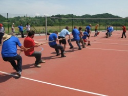img_1265383651_877.jpg
